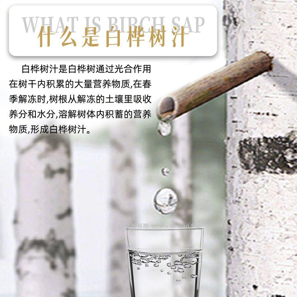 葡口 白桦树汁238ml*10瓶 16.9元 - 线报酷