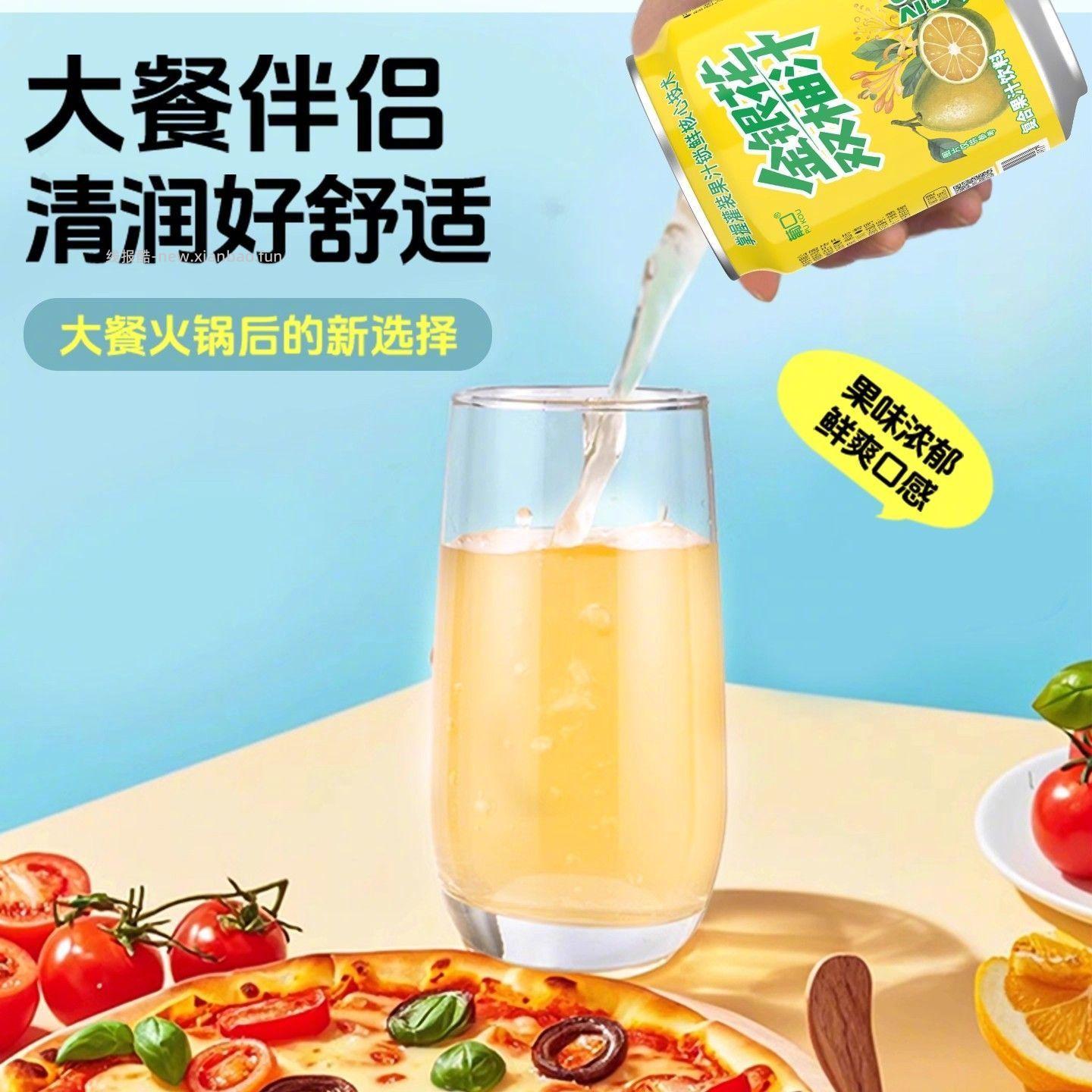 葡口金银花双柚柚子汁238ml*10罐 18.9元 - 线报酷