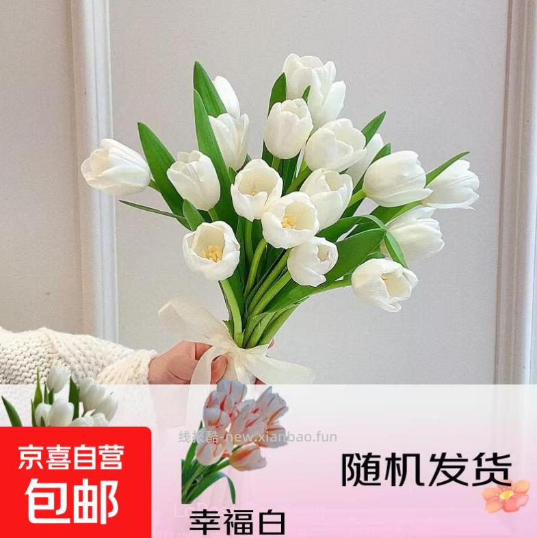 1 郁金香 白色10枝 速冲 - 线报酷