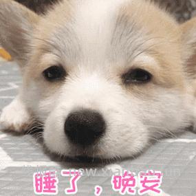 今晚到这里 晚安啦 - 线报酷