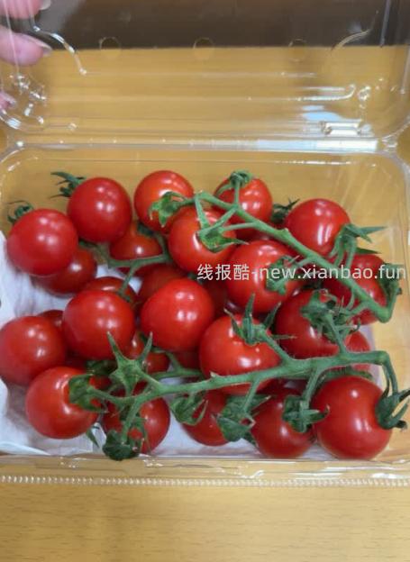 京鲜生＆富美鹤城串收樱桃番茄净重430g*2盒 17.9元 - 线报酷