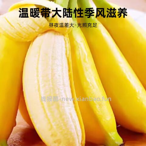 京鲜生的2个包邮活动 ① 19.89 广东苹果蕉香蕉净重4.5斤装 - 线报酷