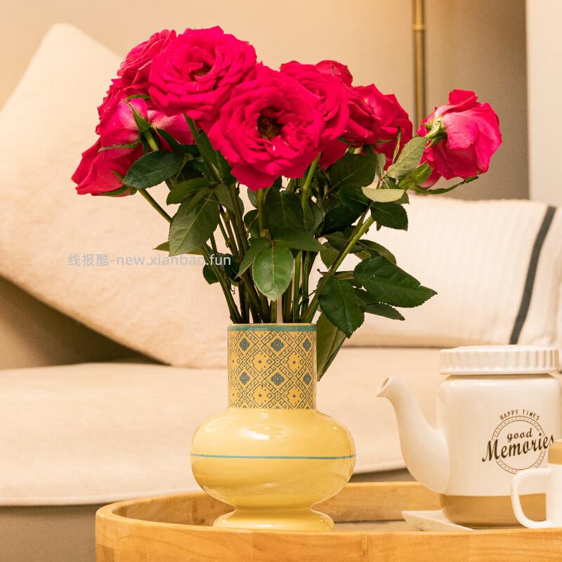 京东鲜花随机色玫瑰花买10枝送10枝到手共20支 19.9元 - 线报酷