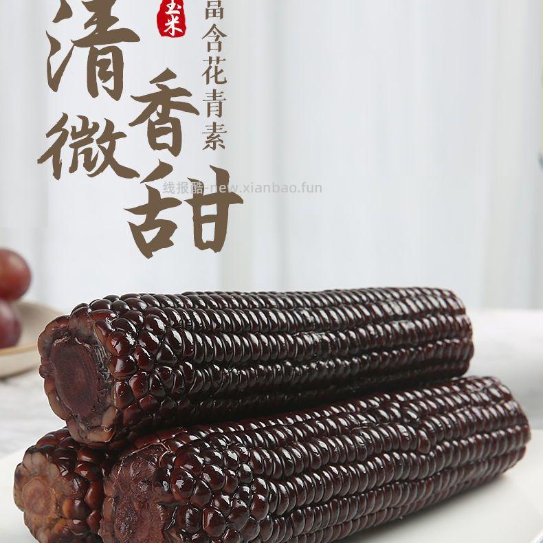 穗康黑糯玉米4-5斤共10支 15.9元 - 线报酷