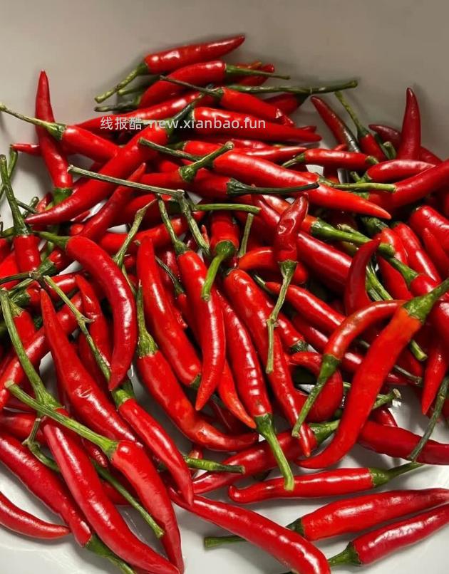 1.08 京喜.新鲜小米辣净重240g 需叠加从京东app首页 9.9包邮 - 线报酷