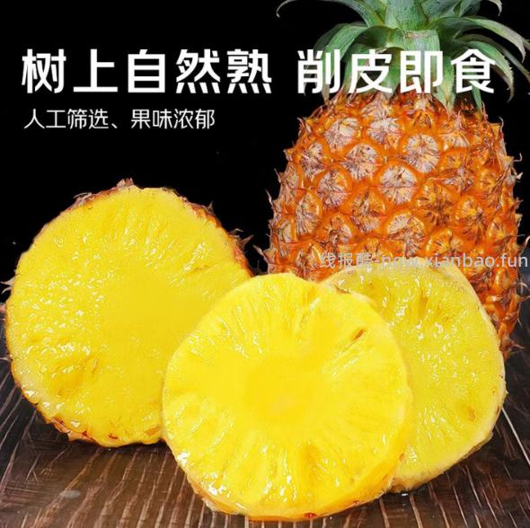 京鲜生海南金钻凤梨净重4.5-5斤 19.9元 - 线报酷