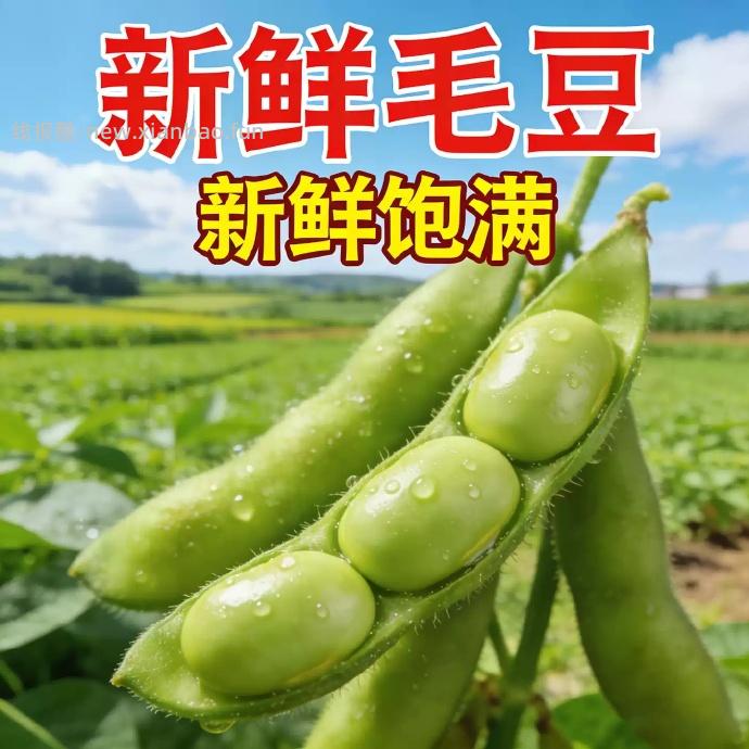 滇老头高山毛豆3斤 12.57元 - 线报酷