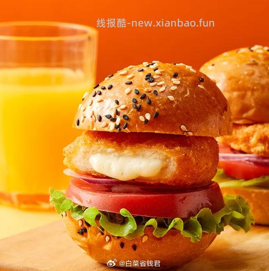 正大芝士流心爆浆鸡排6.4斤/40片 64.9元 - 线报酷