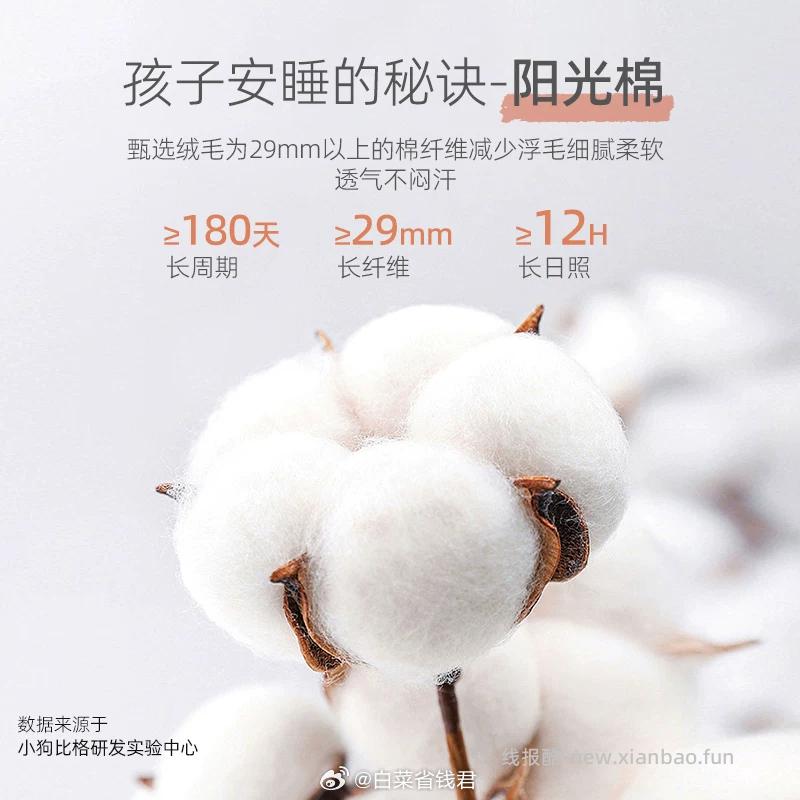 小狗比格儿童夏季家居服 39元 - 线报酷