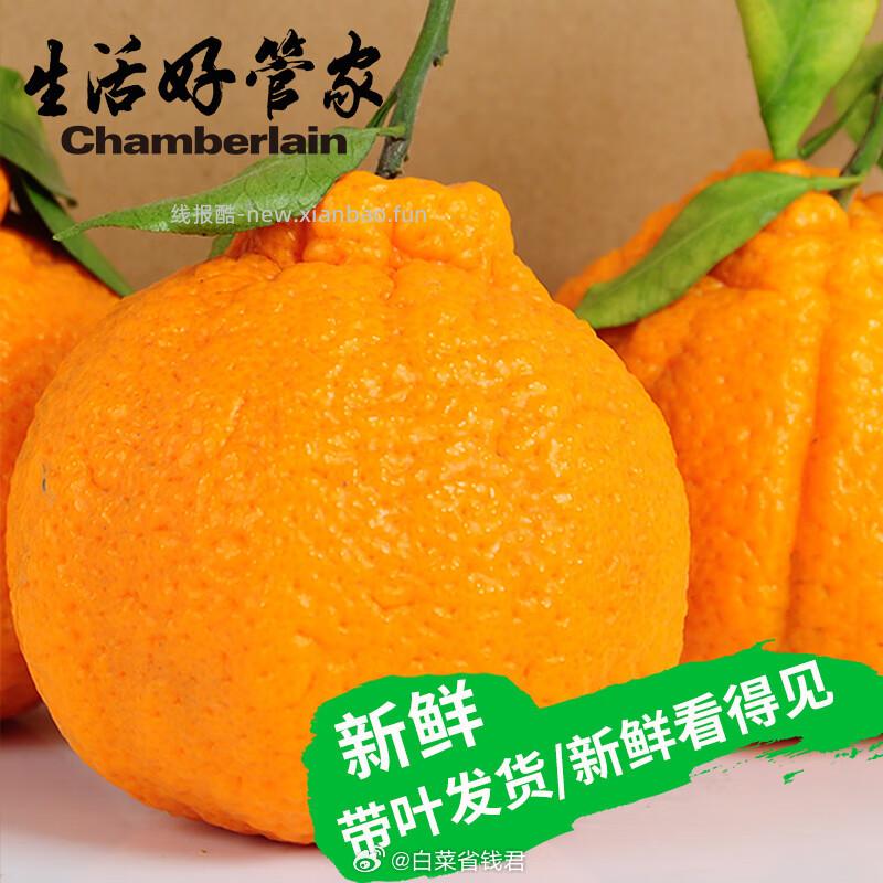 四川不知火丑橘9斤 19.9元 - 线报酷