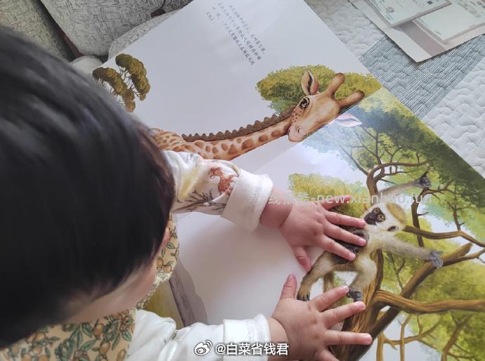 青葫芦宝宝触摸书0到2-3岁绘本 38.3元 - 线报酷