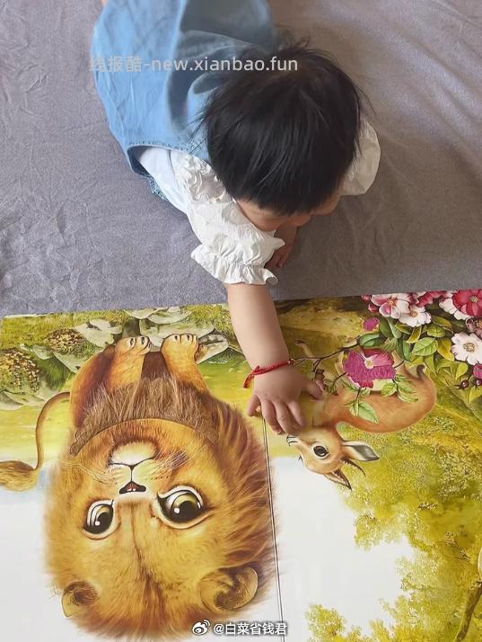 青葫芦宝宝触摸书0到2-3岁绘本 38.3元 - 线报酷