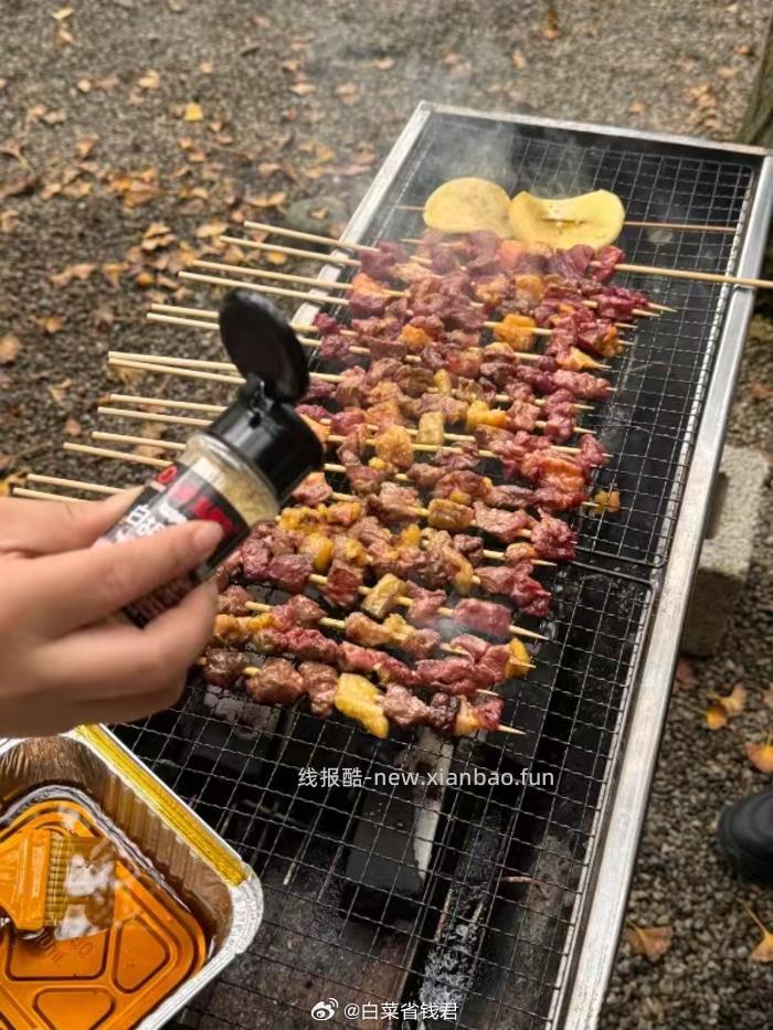 户外便携式烧烤架 22元 - 线报酷