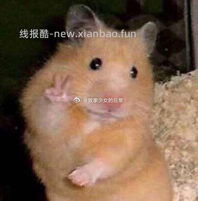 中华小曲库们 集合啦 考验你曲库的时候到了 歌词接龙喽 打call - 线报酷