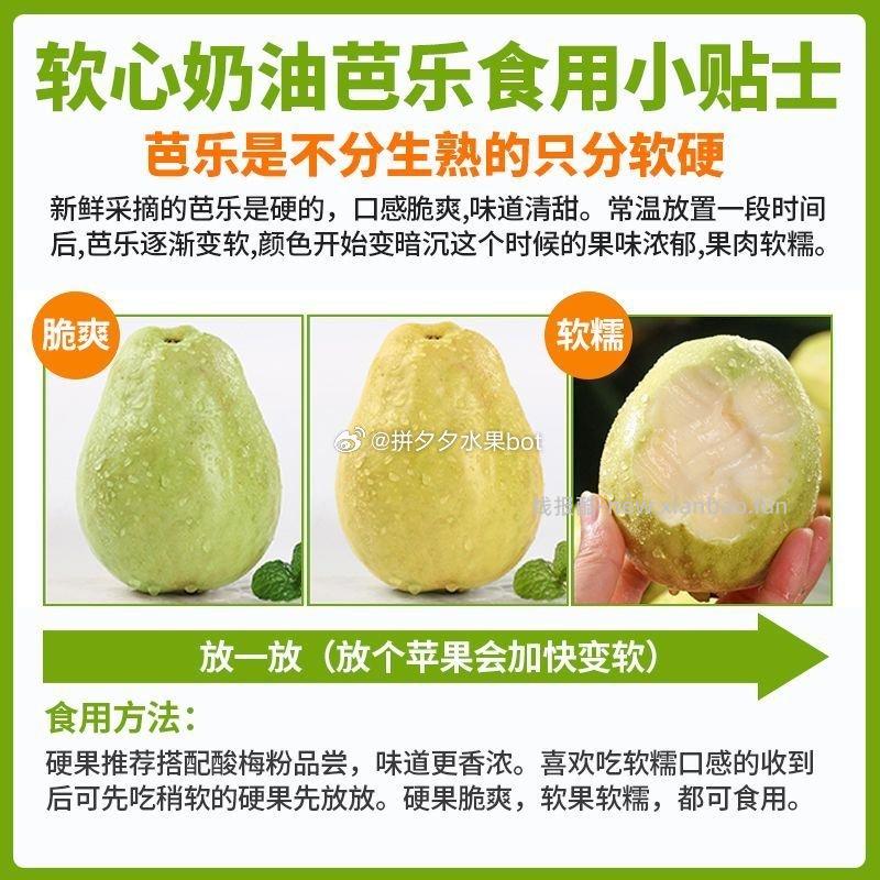 芭乐白心番石榴带箱3斤 12.99元 - 线报酷