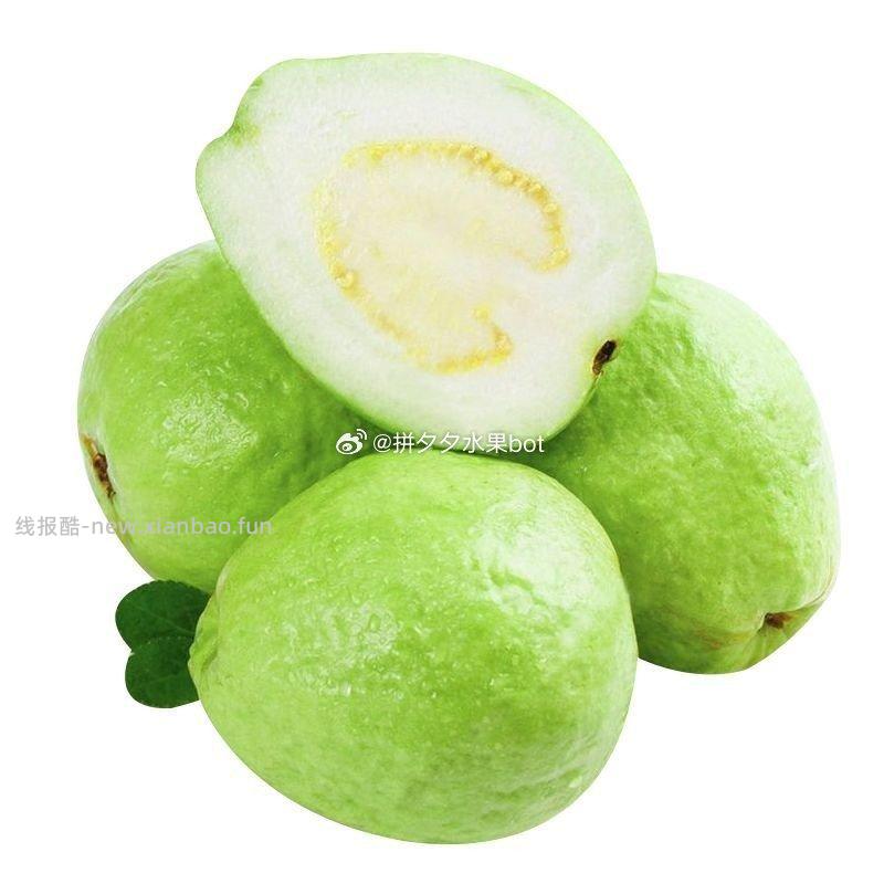 白心番石榴带箱3斤大果 7.3元 - 线报酷