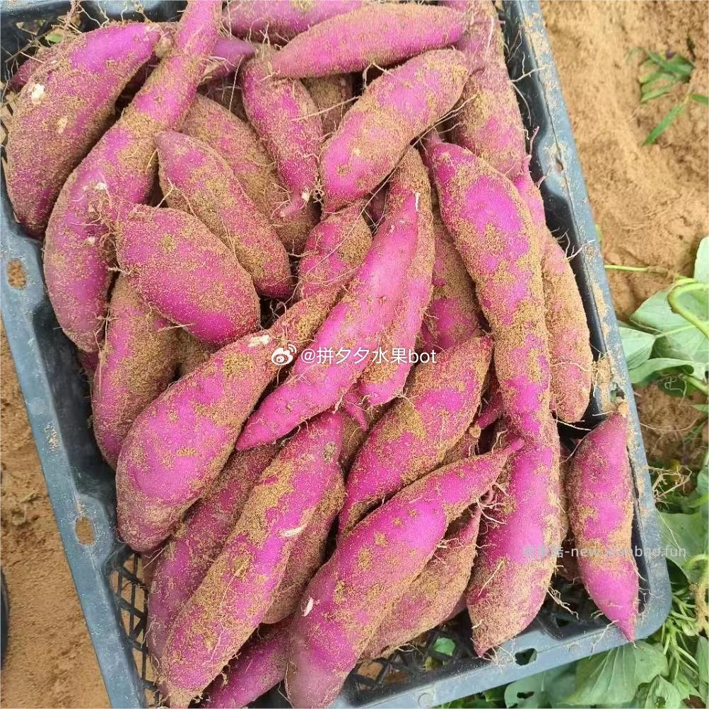 海南澄迈桥头富硒地瓜4.2-5斤 12.75元 - 线报酷