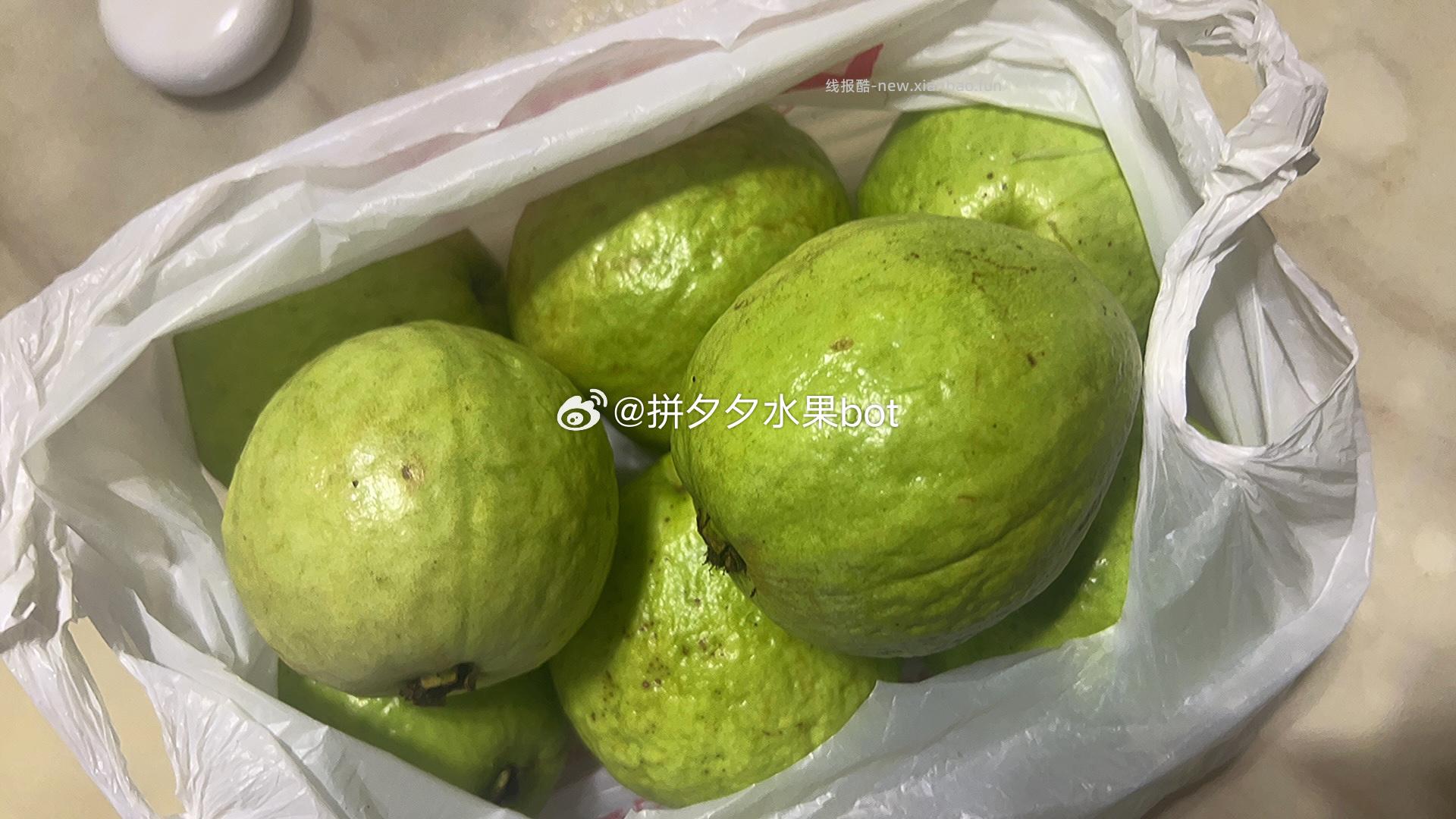 白心芭乐5斤 27.4元 - 线报酷