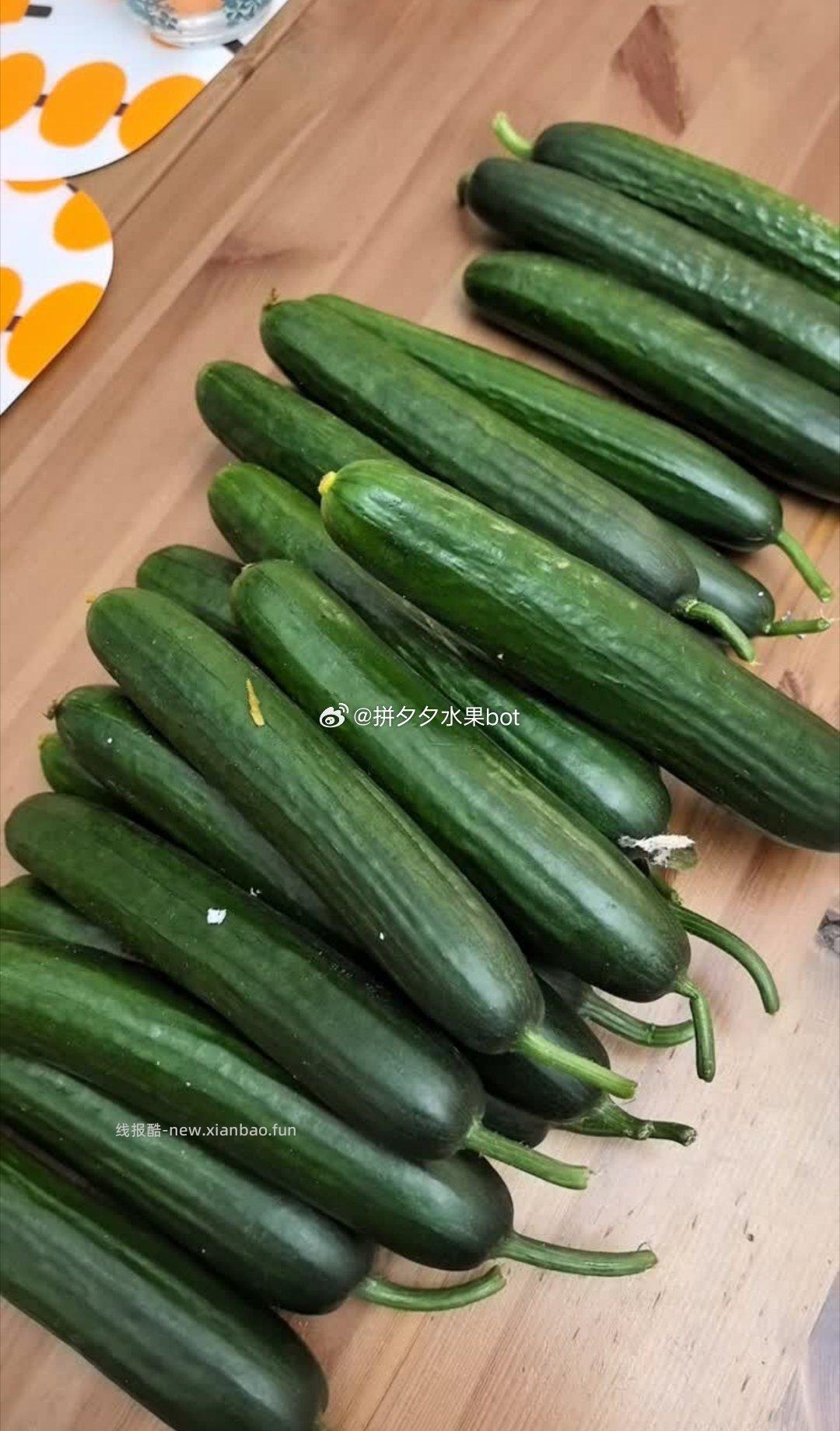 京觅水果黄瓜净重5斤 16.9元 - 线报酷