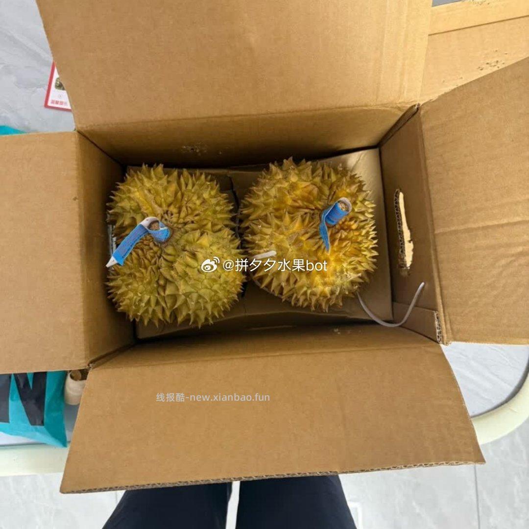 京鲜生金枕巴掌鲜榴莲2个装净重4.5-5.5斤 118.9元 - 线报酷