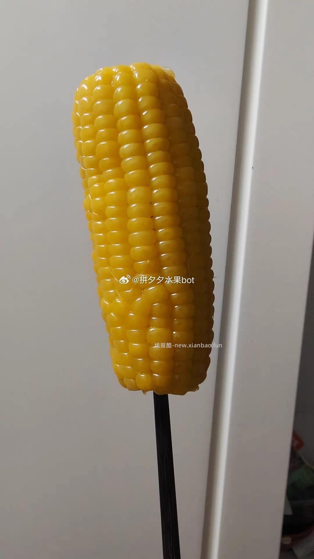 田园知己 五寨黄糯玉米段8段 16.9元 - 线报酷