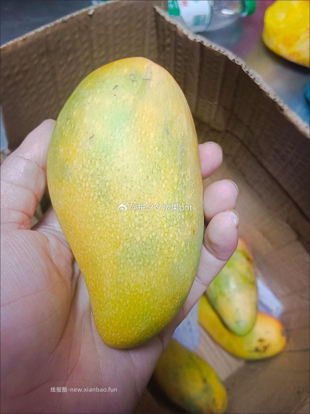 贵妃芒 5-6斤带箱 11.8元 - 线报酷