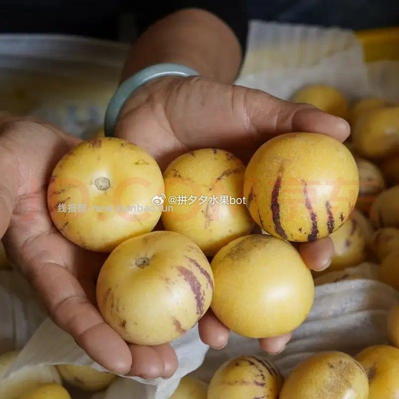 京鲜生石林人参果净重5斤 19.9元 - 线报酷