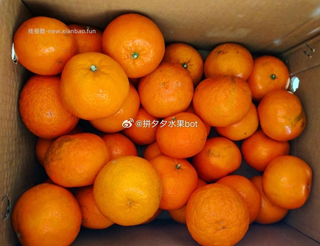 重庆沃柑净9斤 15.03元 - 线报酷