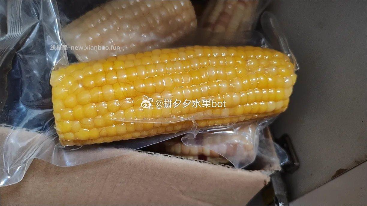 农科玉东北黄糯玉米1840g共8根 16.9元 - 线报酷