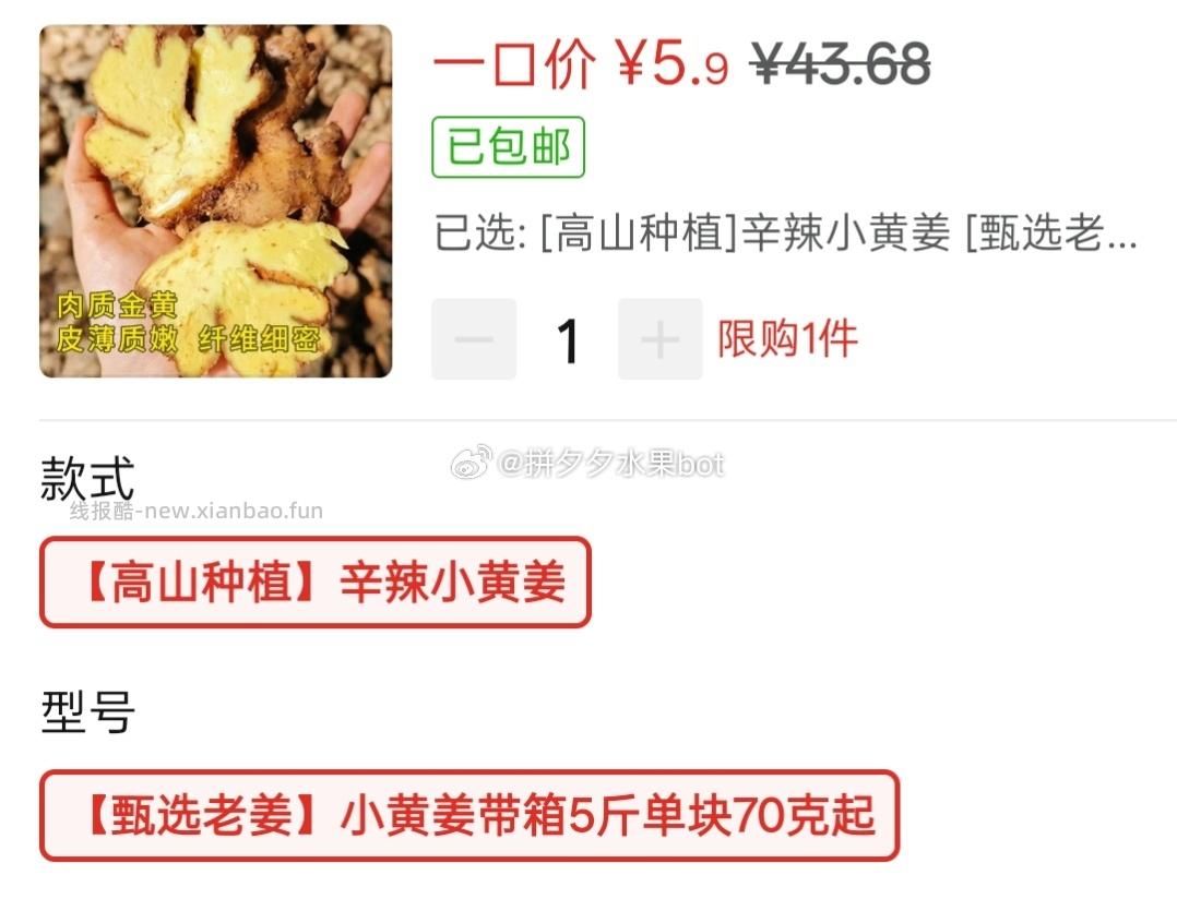 小黄姜生姜带箱5斤 5.9元 - 线报酷