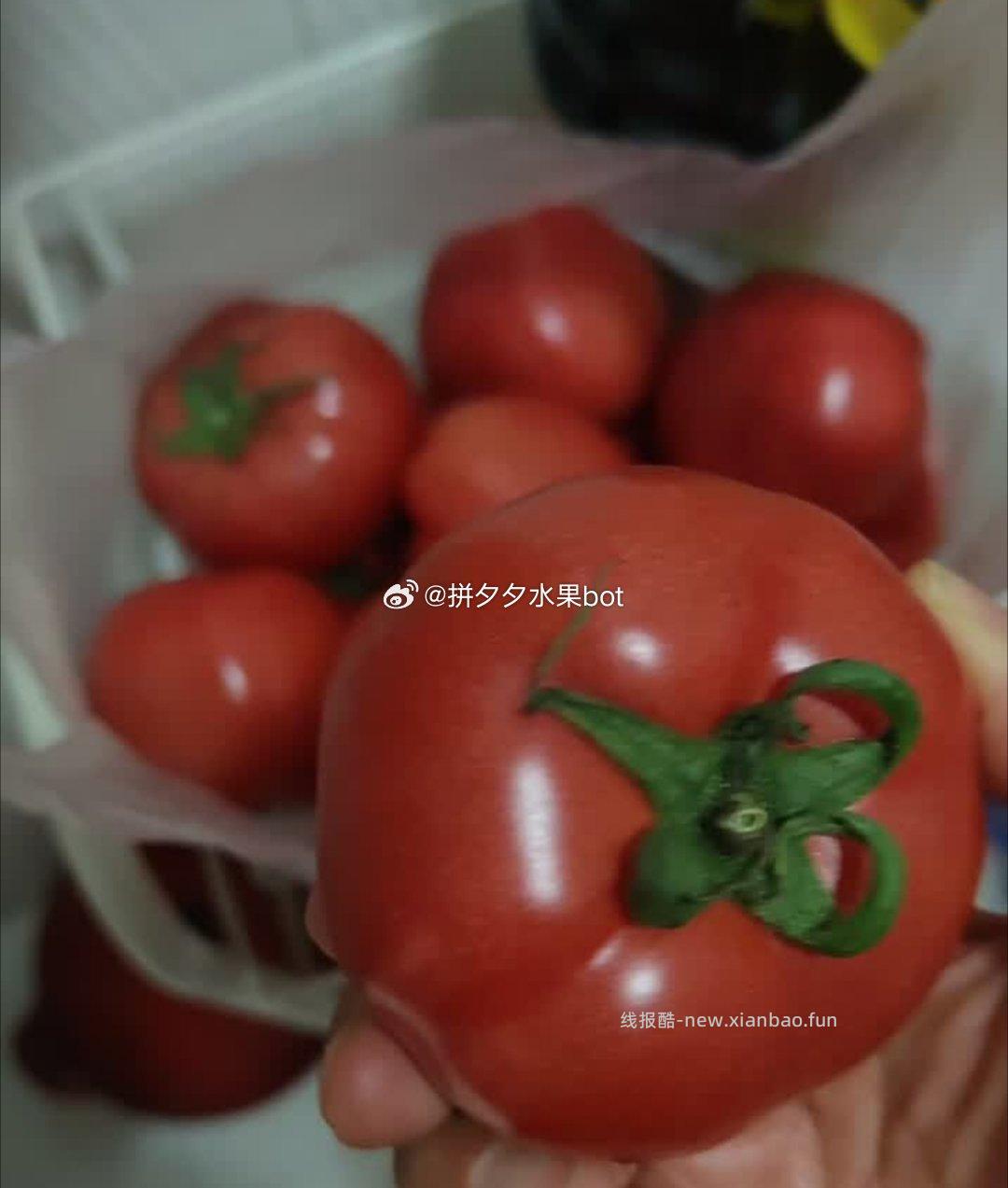 普罗旺斯番茄净重4.5斤 17.9 单果125g+ - 线报酷