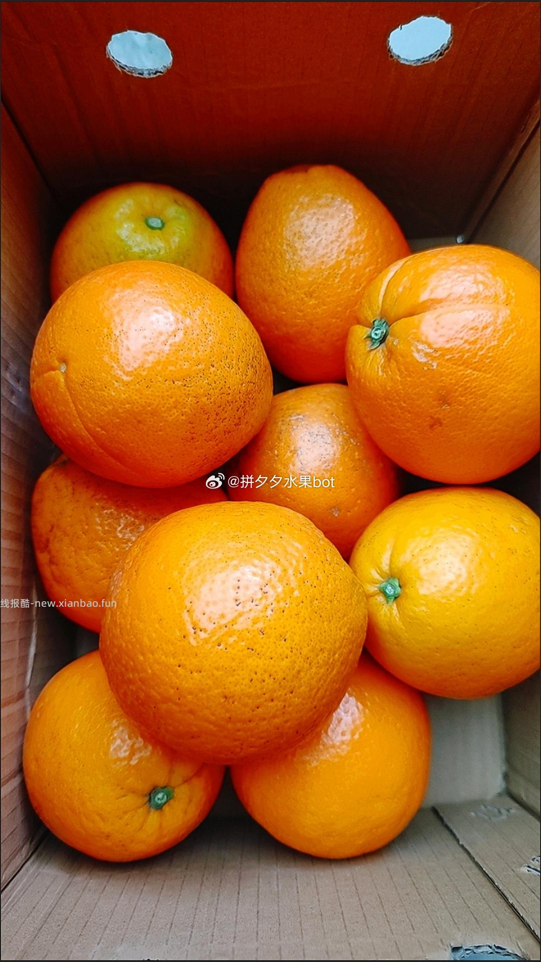 鲜橙伦晚脐橙5斤带箱 8.8元 - 线报酷