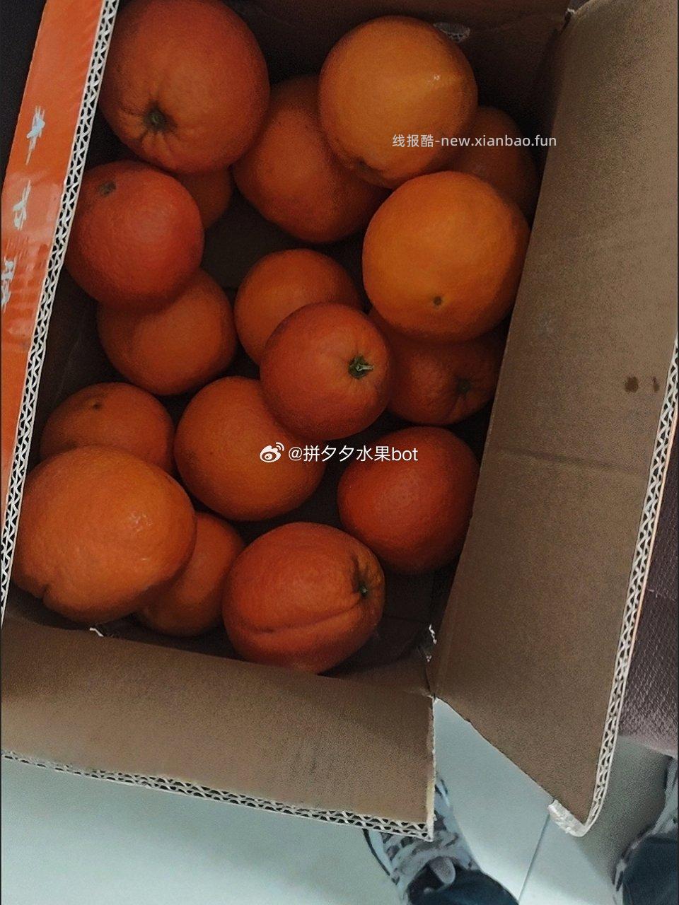 奉节脐橙10斤 13.9元 - 线报酷