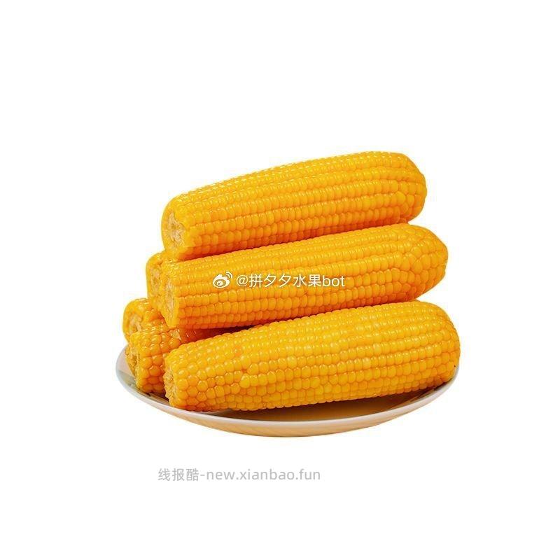 刘老杆黄糯玉米2200g/10棒 15.9元 - 线报酷