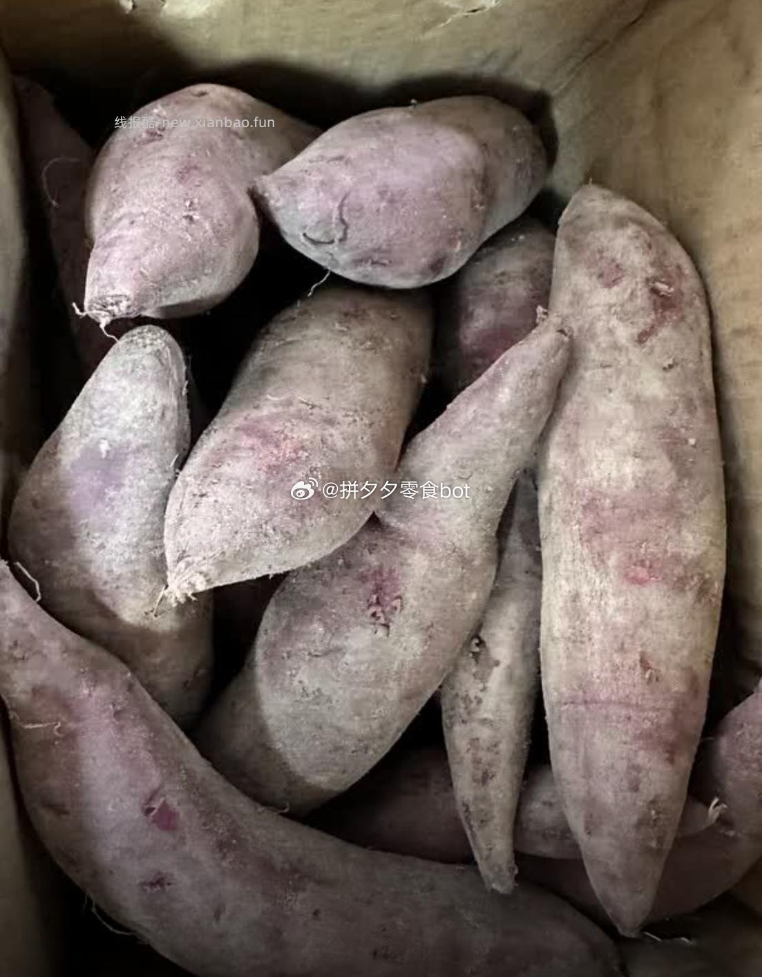 京觅 湖北紫薯净重5斤 16.9元 - 线报酷