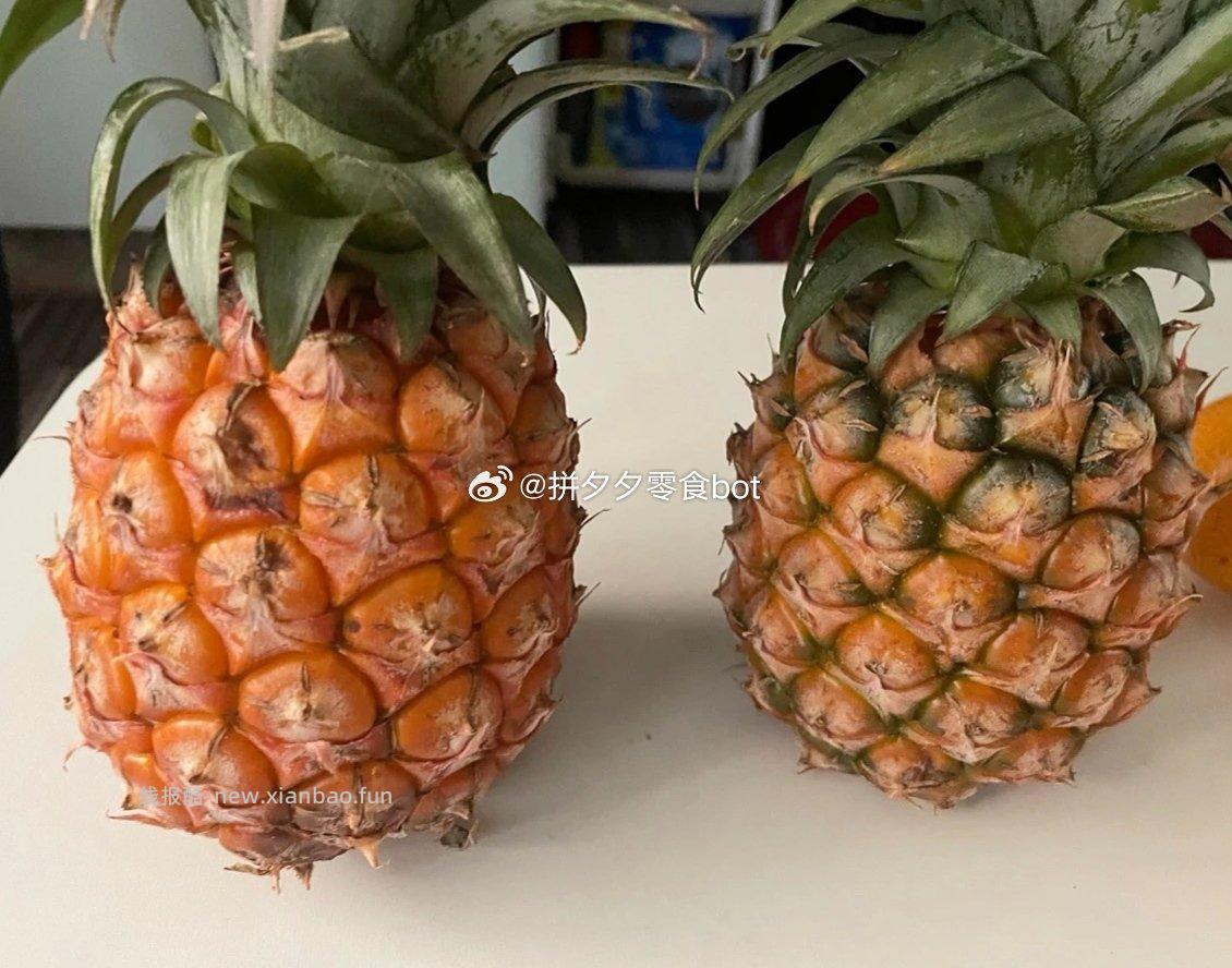 海南金💎凤梨 净4.5-5斤 14.5元 - 线报酷