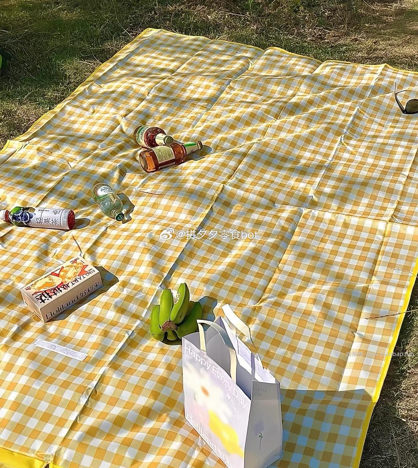 加厚野餐垫 2米*2米 9.9元 - 线报酷