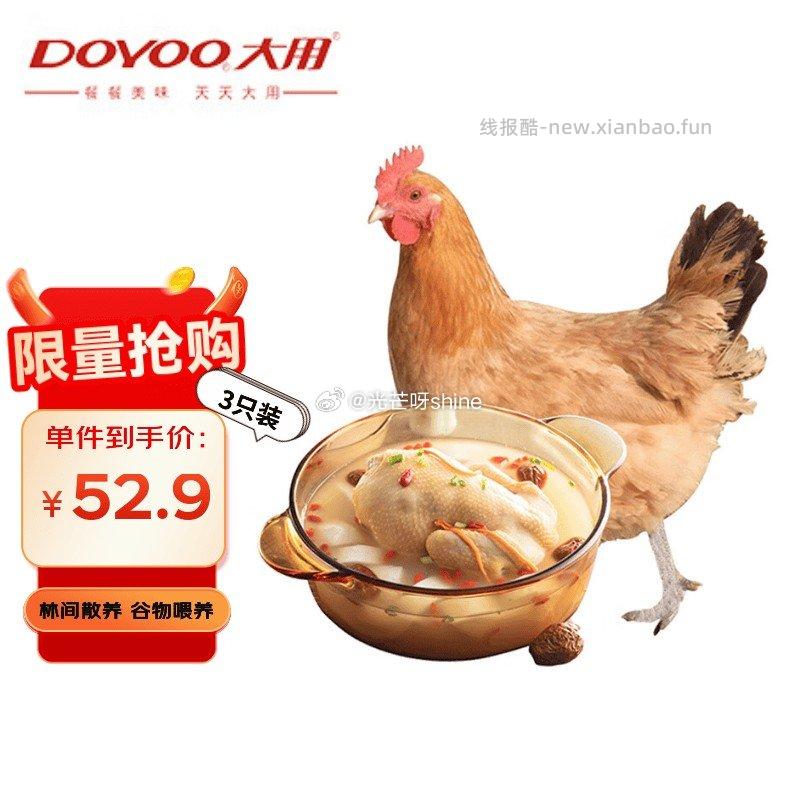 大用三黄鸡净重1.6斤*3只冷冻散养鸡 52.9元 - 线报酷