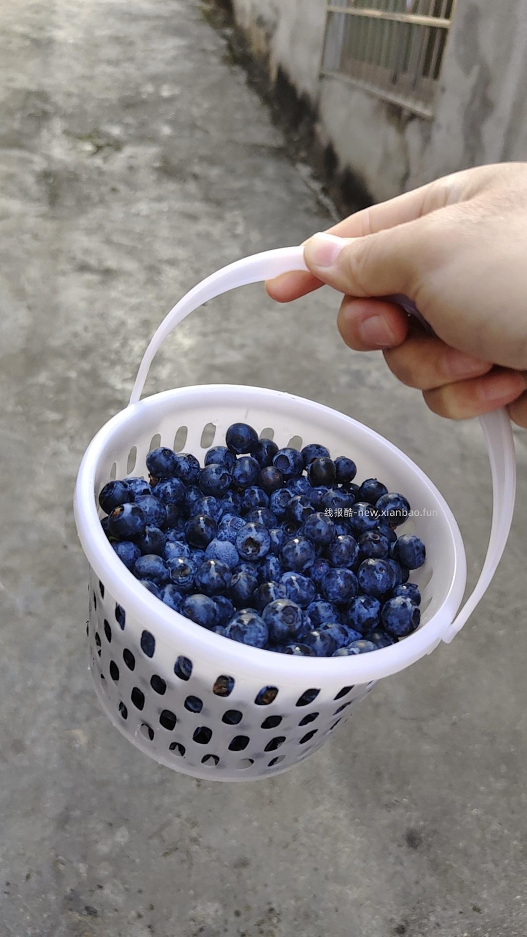 去刷 20-12 今晚上买一送一 我图片这个是一斤新到的 脆甜 比京东买的好吃 - 线报酷