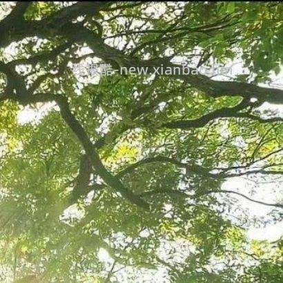 ✨ ✨ 人生路上 遇见善良 学会付出 遇见微笑 学会分享 遇见坎坷 学会勇敢 - 线报酷