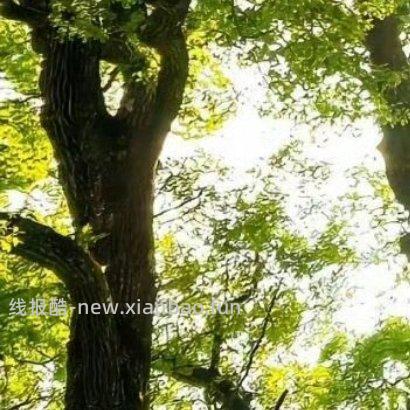 ✨ ✨ 人生路上 遇见善良 学会付出 遇见微笑 学会分享 遇见坎坷 学会勇敢 - 线报酷