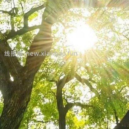 ✨ ✨ 人生路上 遇见善良 学会付出 遇见微笑 学会分享 遇见坎坷 学会勇敢 - 线报酷