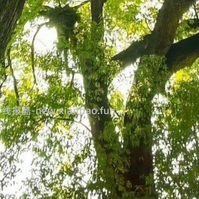 ✨ ✨ 人生路上 遇见善良 学会付出 遇见微笑 学会分享 遇见坎坷 学会勇敢 - 线报酷