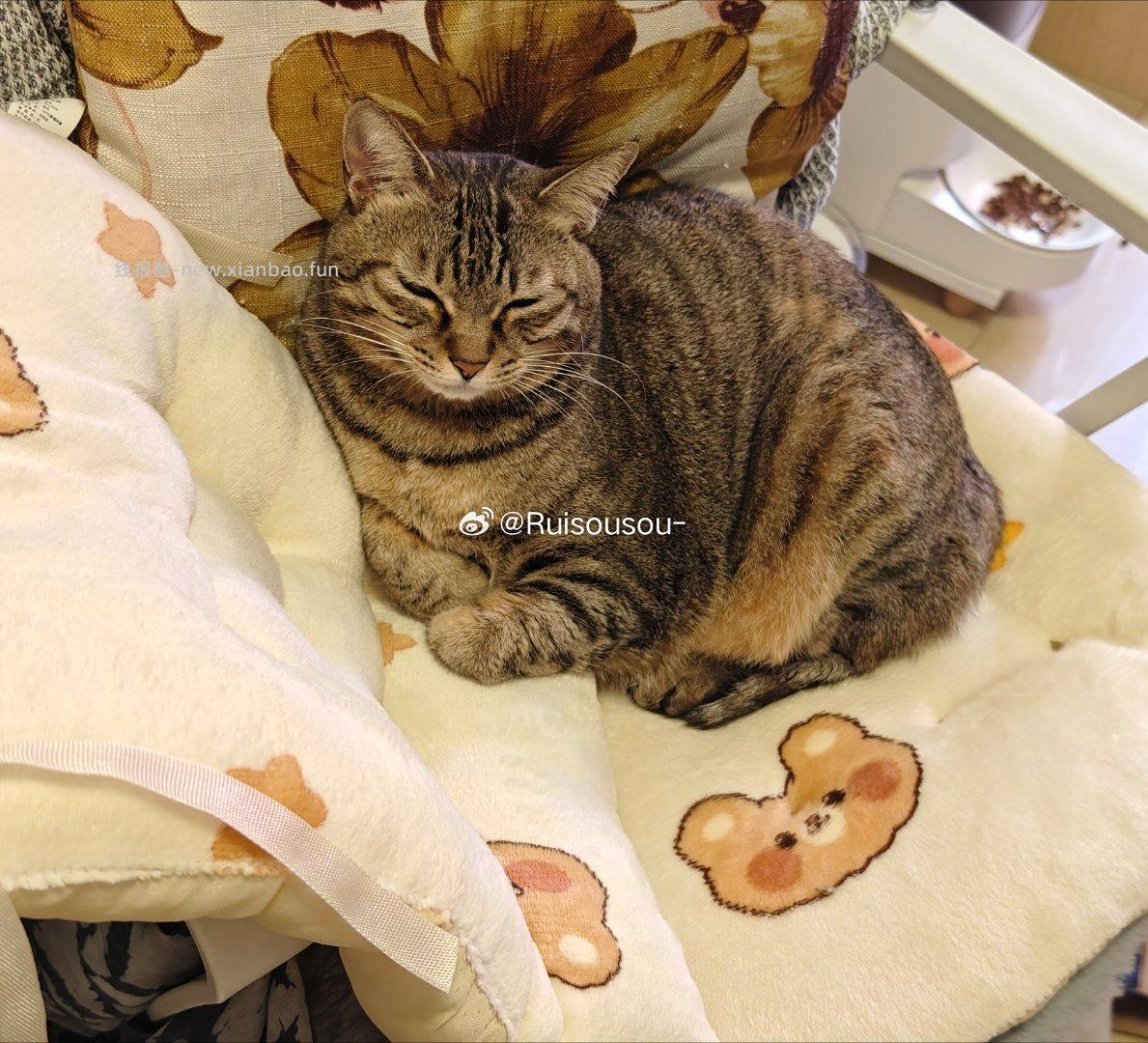 5-4坐垫又可以买了实图放plq - 线报酷