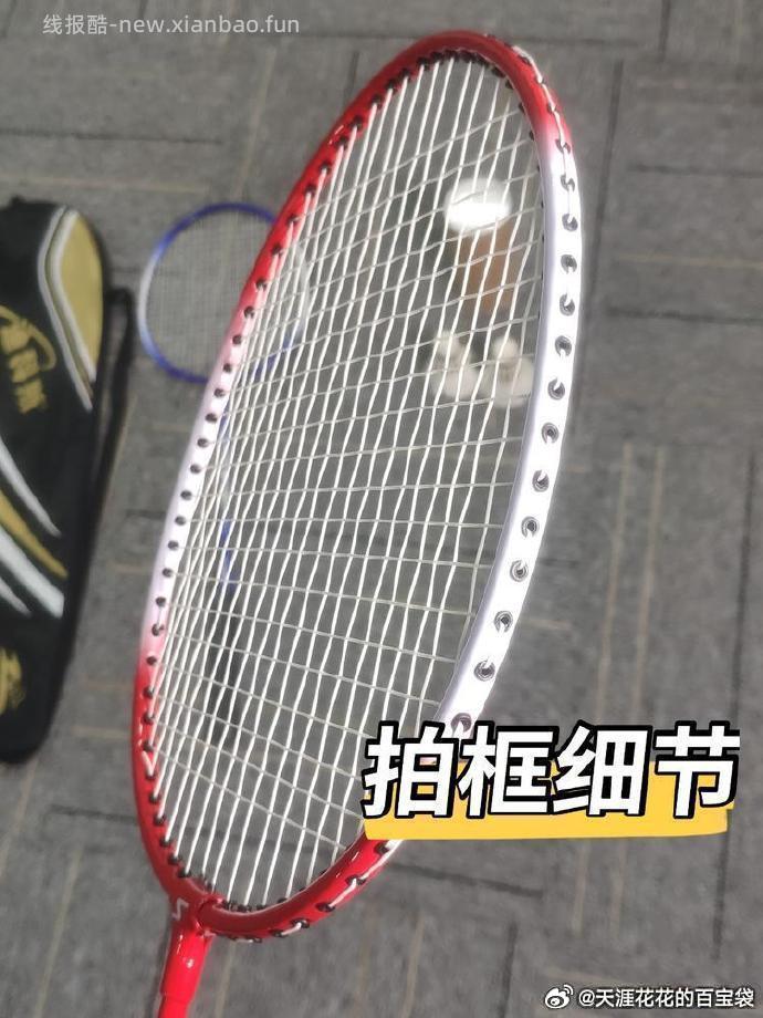 迪科斯羽毛球拍2支+3球+1包 13.91元 - 线报酷