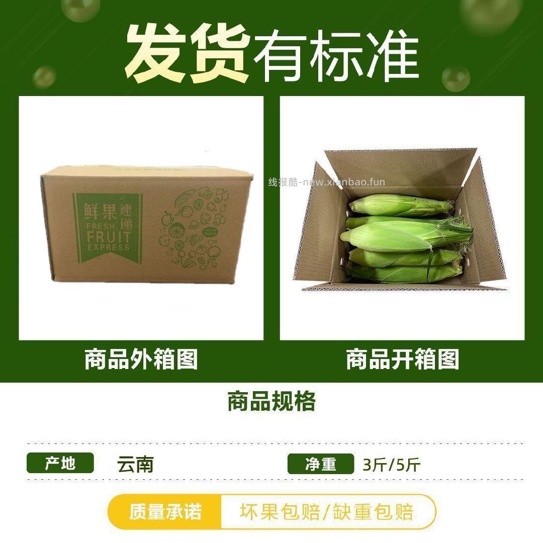 宝菜新鲜现摘水果玉米净重4.8-5.1斤 15.9元 - 线报酷