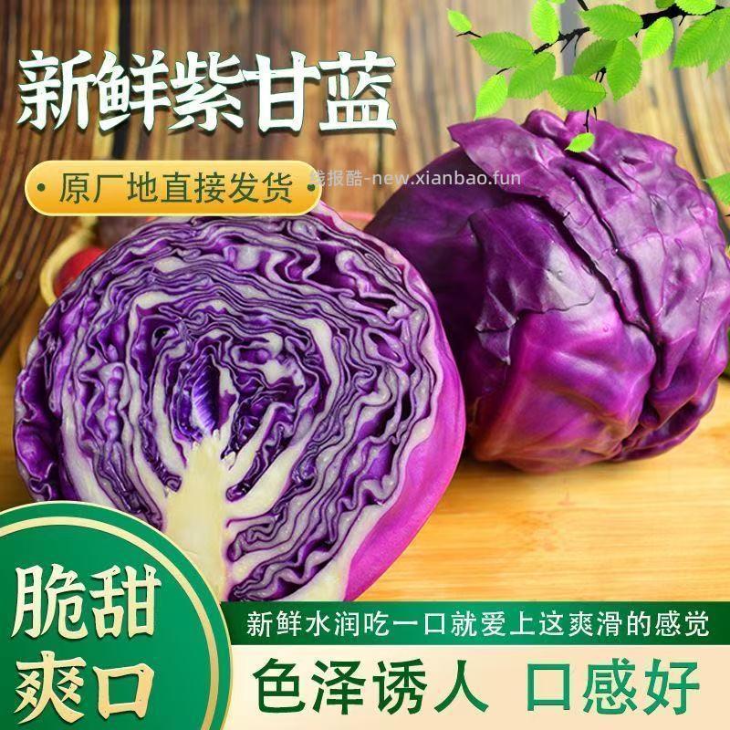 卓颐云南小个紫甘蓝带箱5斤 6.9元 - 线报酷