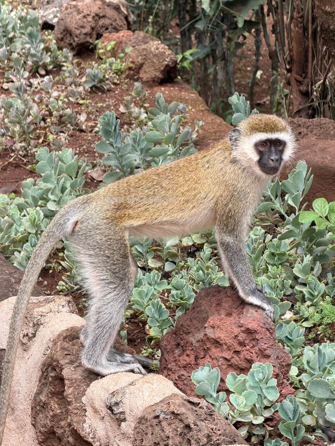 飞行16h 6000km 从北京出发经由阿布扎比 - 线报酷