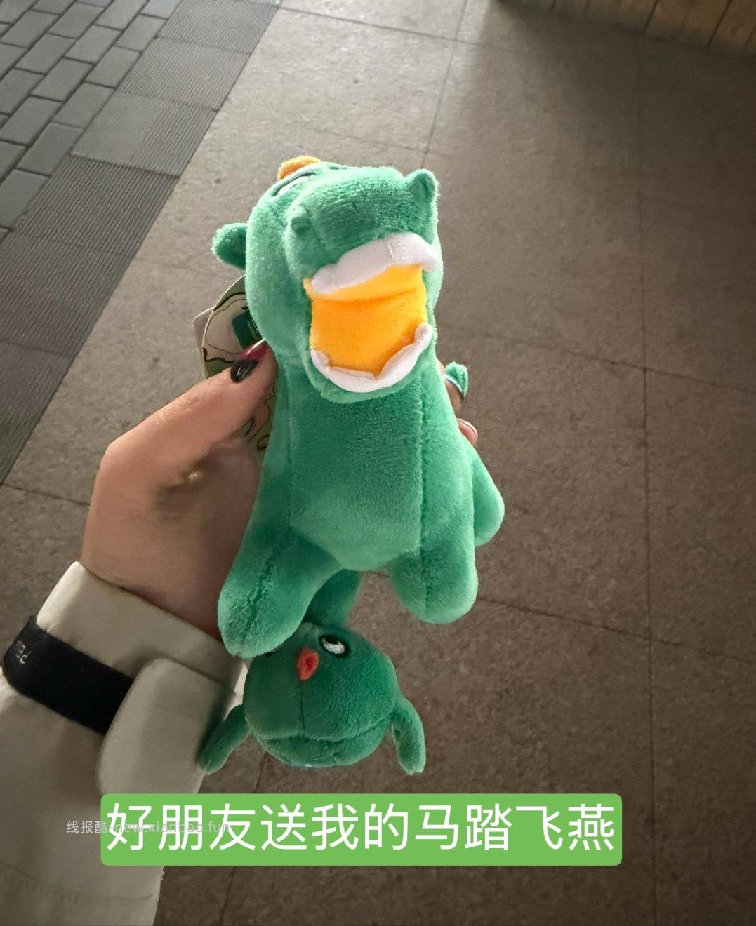 我起飞啦 16个小时后到达东非大陆 送花花 送花花 - 线报酷