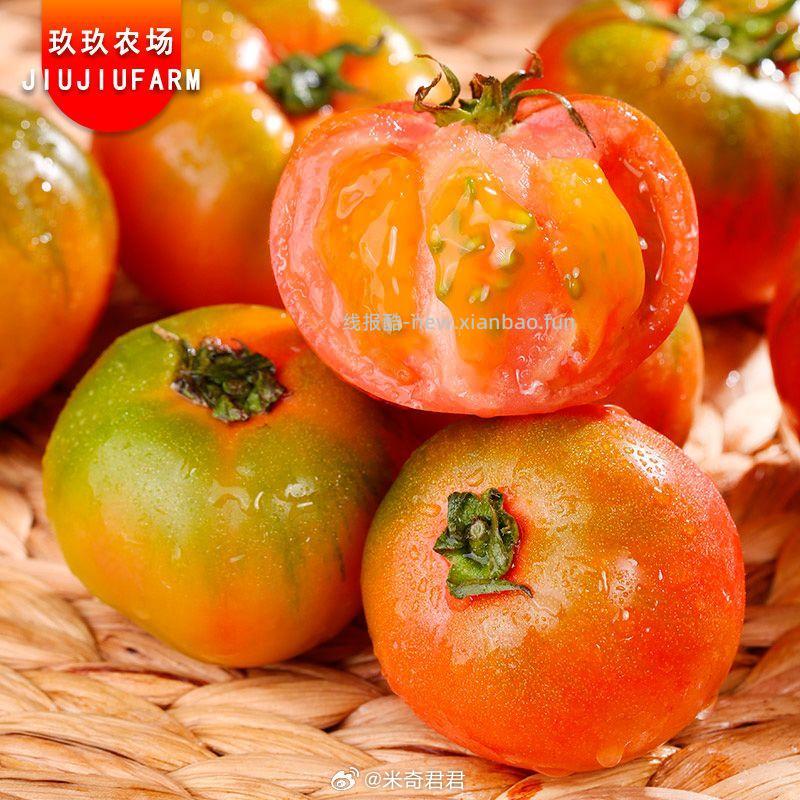 丹东铁皮草莓柿子彩箱绿腚油西红柿4.5斤 11.3元 - 线报酷